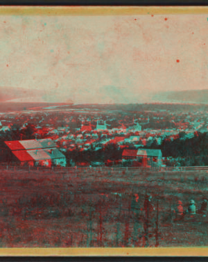 General view of Ithaca, Cayuga Lake in the distance. [1865?1880?]