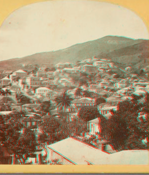 Panoramic view of St. Thomas, B. [ca. 1860]