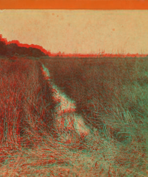 Rice fields. 1867?-1905? [ca. 1880]