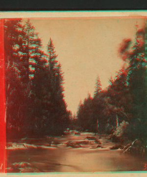 The Merced River, looking east. 1860?-1874?