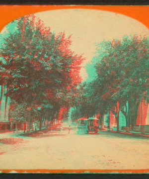 Looking up Lafayette Street. 1859?-1885?