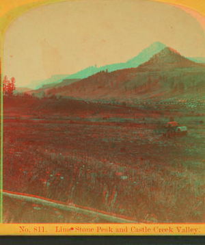 Limestone peak and Castle Creek valley. 1874