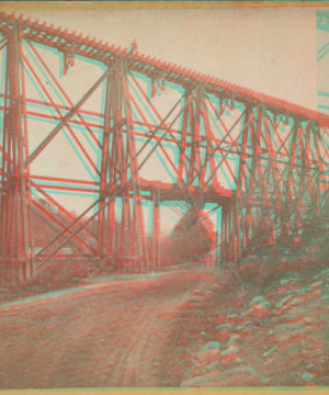 Section of Trestle Bridge on the New York, Boston & Montreal  Railway, over the public road, at East Tarry Town, N.Y. [ca. 1873] [1865?-1915?]