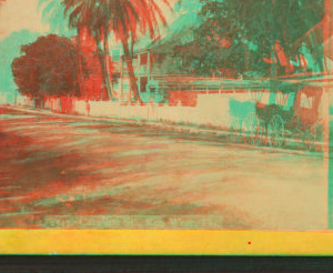 Caroline St., Key West, Fla. 1860?-1900?