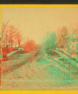 [View of Amity Street.] 1869?-1880?