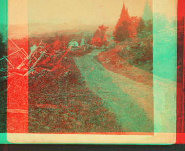 View approaching Willoughby Lake. Striped mountain in the distance. 1859-1885?