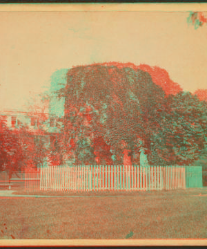 [Old stone mill and the picket fence.] 1860?-1869?