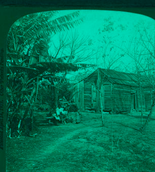 A typical negro cabin, Louisiana. April 14, 1903 1868?-1901?