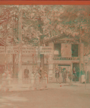 [Fountain Park.] [ca. 1875] [1867?-1880?]