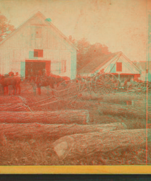 View of stable, on Alex. Knox's plantation, Mount Pleasant, near Charleston, S.C. 1861?-1880?