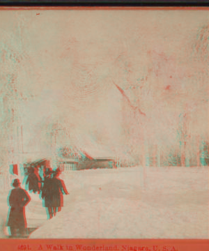 A walk in wonderland, Niagara, U.S.A. 1870?-1902