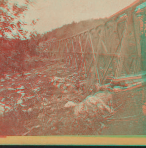 Section of Trestle Bridge on the New York, Boston & Montreal  Railway, at East Tarry Town, N.Y. [ca. 1873] [1865?-1915?]