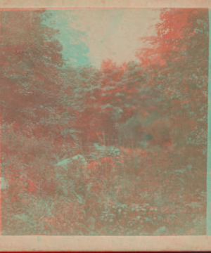 View in Central Park. [1859?-1895?]