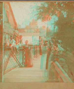 [African American Children and Women on a Bridge.] 