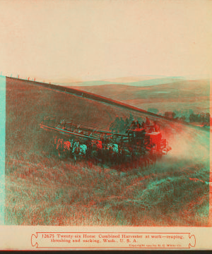 Twenty-six horse combined harvester at work, reaping, threshing and sacking, Wash., U.S.A. 1905 1870?-1920?