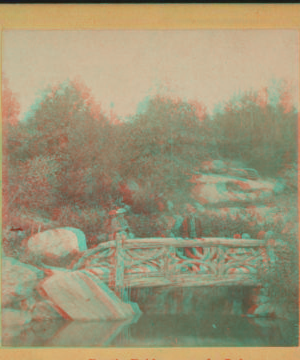 Rustic Bridge near the lake. [1860?-1900?]