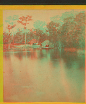 [Silver Springs, General View.] [ca. 1875] 1875?-1890?