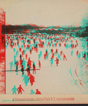 A thousand skaters, Central Park, N.Y. (Instantaneous) c1889 [1860?]-1896