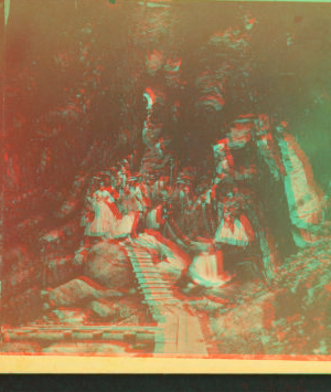 [Visitors at the Flume,.] 1864?-1880?