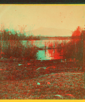 [View of the Pond.] 1869?-1880?