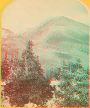 Baldy Peak, Cerro Blanco Mountains, Colorado, 14,234 feet above sea-level. Limit in altitude of vegetation about 11,000 feet. 1874