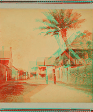 St. Francis St., showing the Oldest house in St. Augustine, Florida. 1868?-1895?