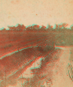 Rice field and dyke. 1867?-1905? [ca. 1885?]