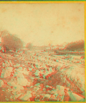 Stereoscopic views of the Mill River (Mass.) Flood, May, 1874. May,1874