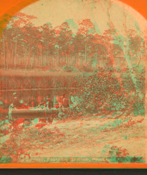 Pine Forest. Florida. [ca. 1875] 1868?-1910?