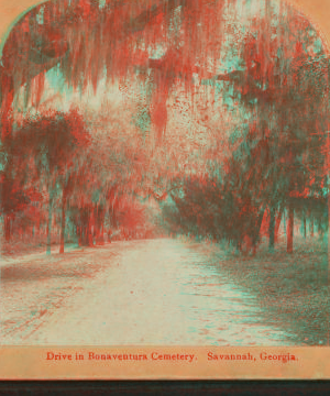 Drive in Bonaventure Cemetery, Savannah, Ga. 1866?-1905? 1870-1910