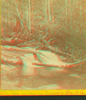 View between the Cascade and the Flume, Franconia Mts., N.H. 1864?-1880?