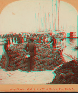 Sponge Market, Key West Harbor, Fla. 1860?-1900? 1898