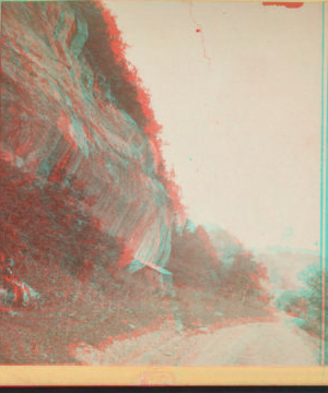 Road at Steep Rocks. [1870?-1880?] [1869]