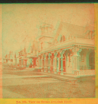 View on Ocean Ave., Oak Bluffs. 1865?-1880?