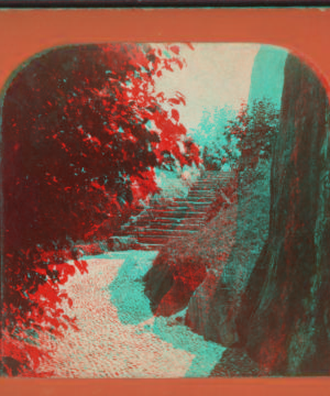 Rustic steps, Central Park. [1859?-1895?]