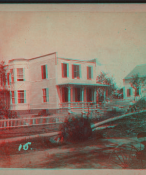 [View of a downed tree in front of a house with fence.] 1878