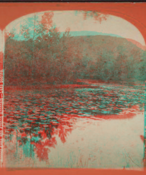 Bloody Pond and French Mountain, Lake George. [1860?-1895?]