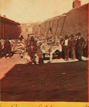 [Burrow alley.] 1870?-1885?