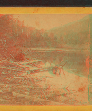 [Ammonoosuc River.] 1863?-1885?