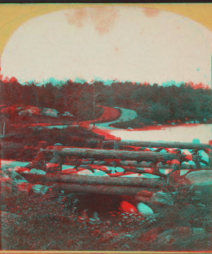 Central Park, Rustic Bridge. [1860?-1900?]