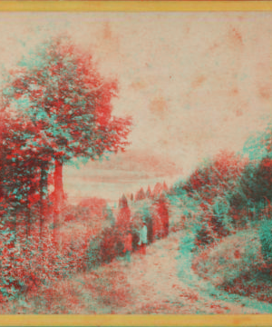 A View from Idlewild. [1860?-1875?]