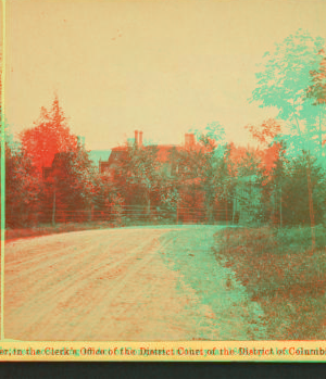 [View down a country road, house visible through foliage.] 1862-1865