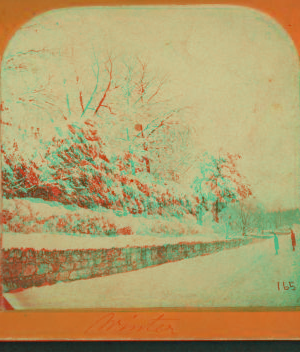 [Warren St., Roxbury.] 1859?-1901? [1861]