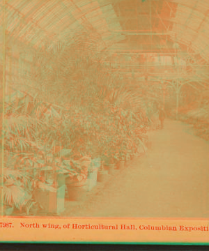 North wing of the Horticultural Hall, Columbian Exposition. 1893