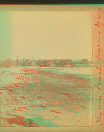 [Lynn beach in the morning.] 1865?-1899