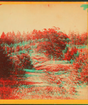 [View from near side of the spring.] 1867?-1875?