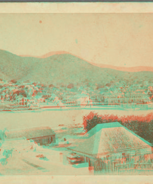 Panoramic Views of the Town of Christiansted, St. Croix, W. I. [ca. 1860]