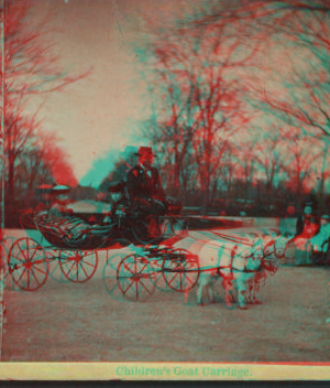 Children's goat carriage. [1860?-1905?]