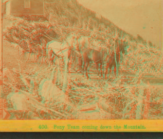 Pony Team coming down the Mountain. [1865-1875] 1860?-1903?