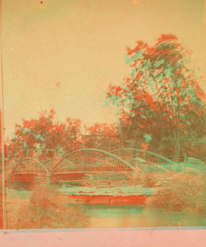 [King Iron Bridge.] 1876